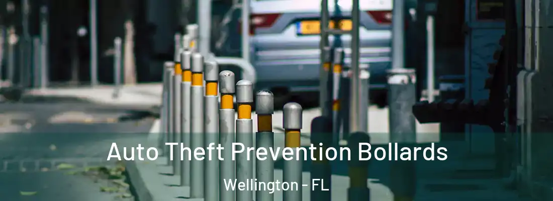  Auto Theft Prevention Bollards Wellington - FL