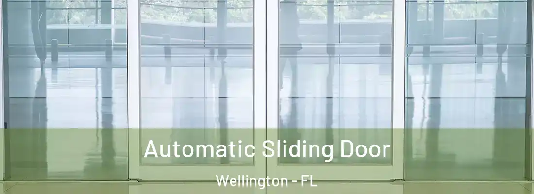  Automatic Sliding Door Wellington - FL