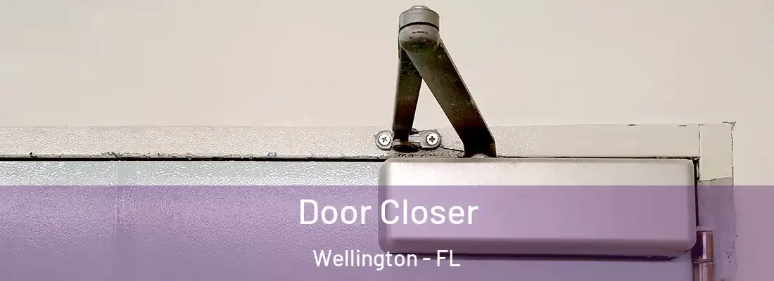  Door Closer Wellington - FL