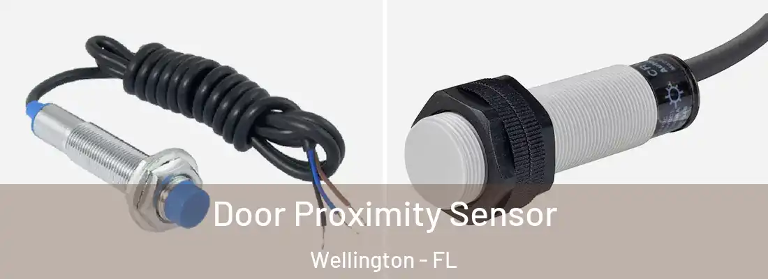  Door Proximity Sensor Wellington - FL