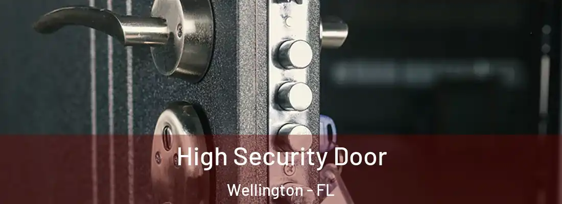  High Security Door Wellington - FL