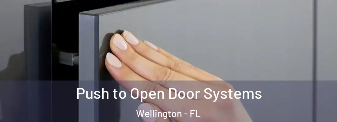  Push to Open Door Systems Wellington - FL